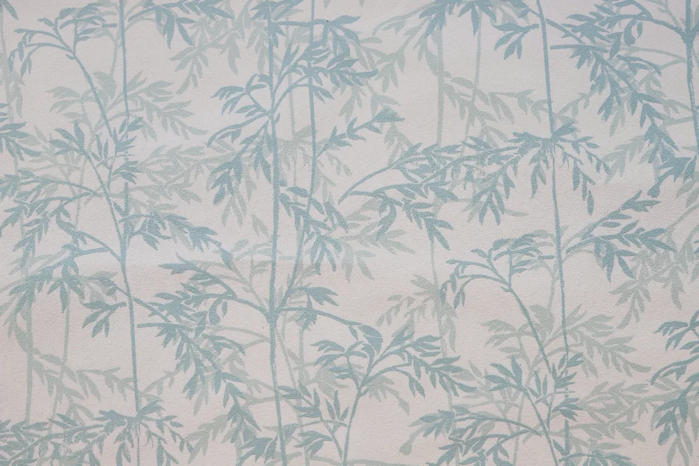 精彩瞬间 - 问鼎APP